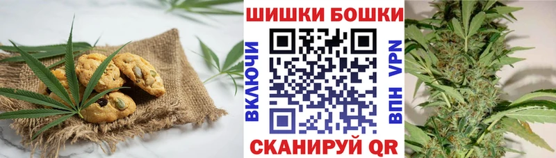 Canna-Cookies марихуана  Новодвинск 