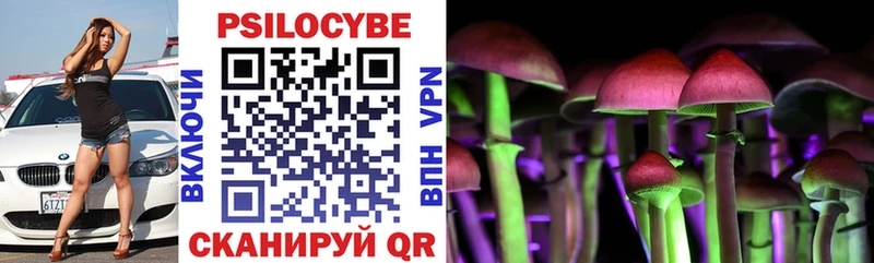 купить  цена  Новодвинск  Псилоцибиновые грибы мухоморы 